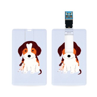 �������丮�� ī���� USB 3.0 �޸� 32GB